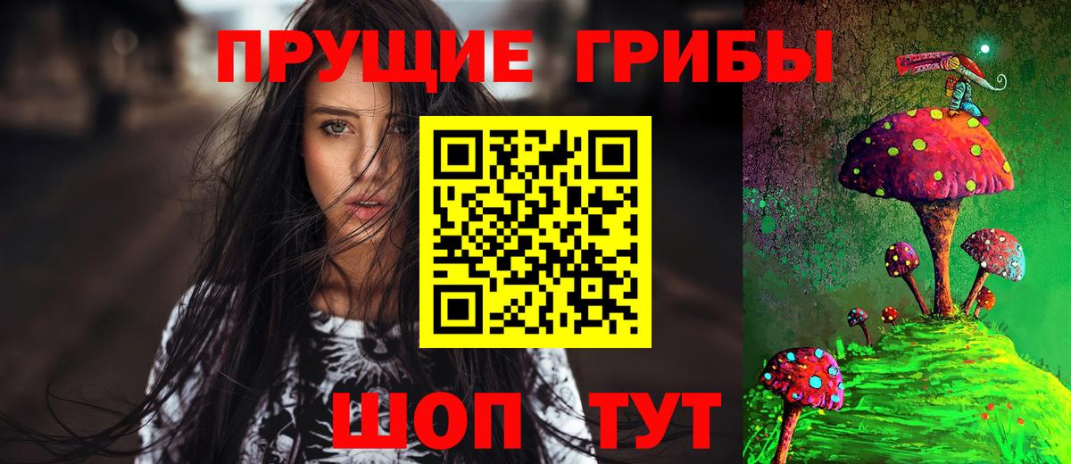 как найти   Вход с VPN  Псилоцибиновые грибы Psilocybine cubensis  Ярцево  Псилоцибиновые грибы мицелий 